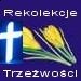 II Diecezjalne Rekolekcje Trzeźwościowe w Koszęcinie